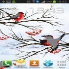 Кроме живых обоев на Андроид Birds by Blackbird wallpapers, скачайте бесплатный apk заставки Winter: Bullfinch.