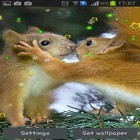 Кроме живых обоев на Андроид Particle flow, скачайте бесплатный apk заставки Winter squirrel.