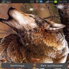 Кроме живых обоев на Андроид Fantasy swamp, скачайте бесплатный apk заставки Wolf by HQ Awesome live wallpaper.