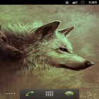 Скачайте Wolves HQ на Андроид, а также другие бесплатные живые обои для Samsung Monte S5620.