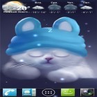 Кроме живых обоев на Андроид Snowy night, скачайте бесплатный apk заставки Yang the cat.