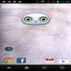 Кроме живых обоев на Андроид S4 Sunshine lotus, скачайте бесплатный apk заставки Zoo: Cat.