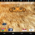 Кроме живых обоев на Андроид Stylish backgrounds, скачайте бесплатный apk заставки Zoo: Dog.